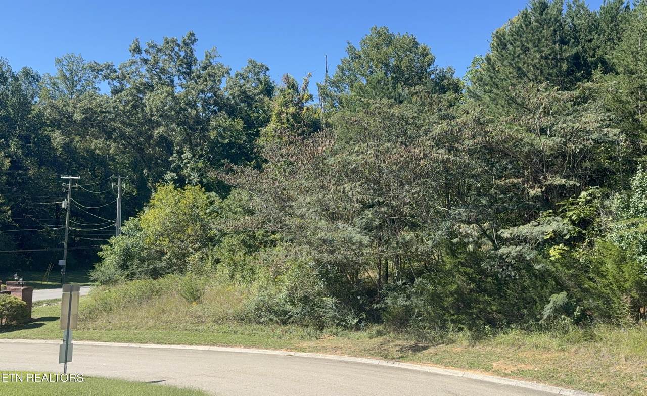 1041 Crown Ridge Lane - Photo 1