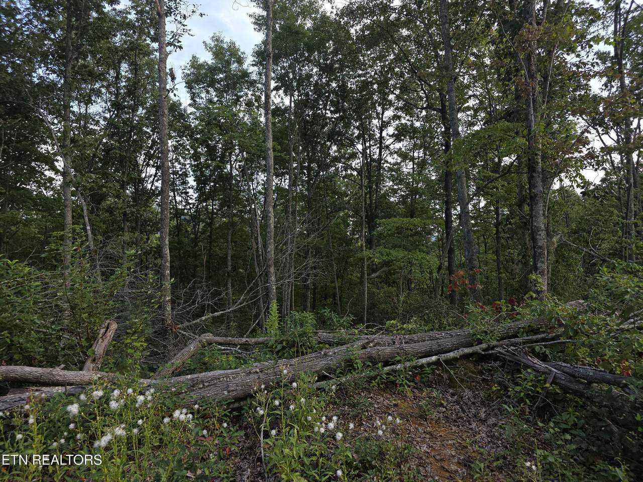 Lot#12 Mill Creek Rd - Photo 1