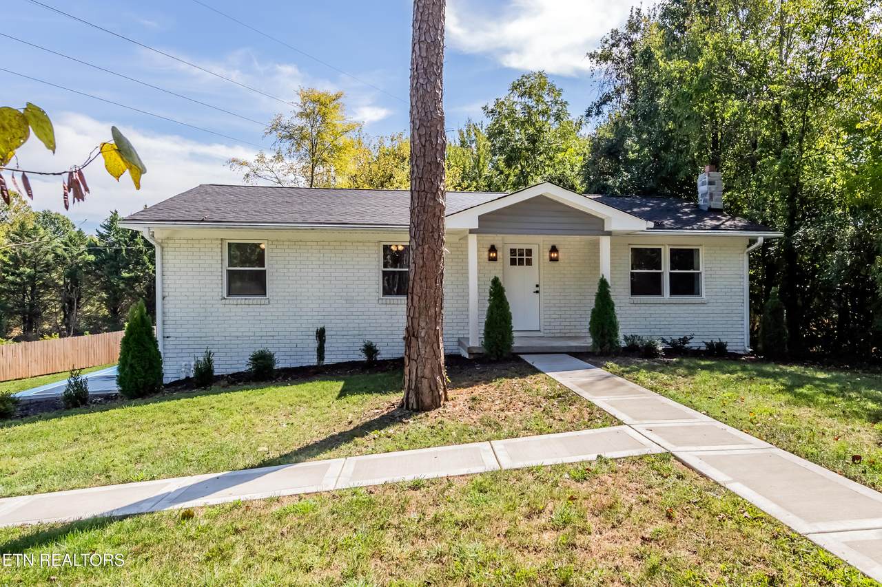 7630 Luscombe Drive - Photo 1