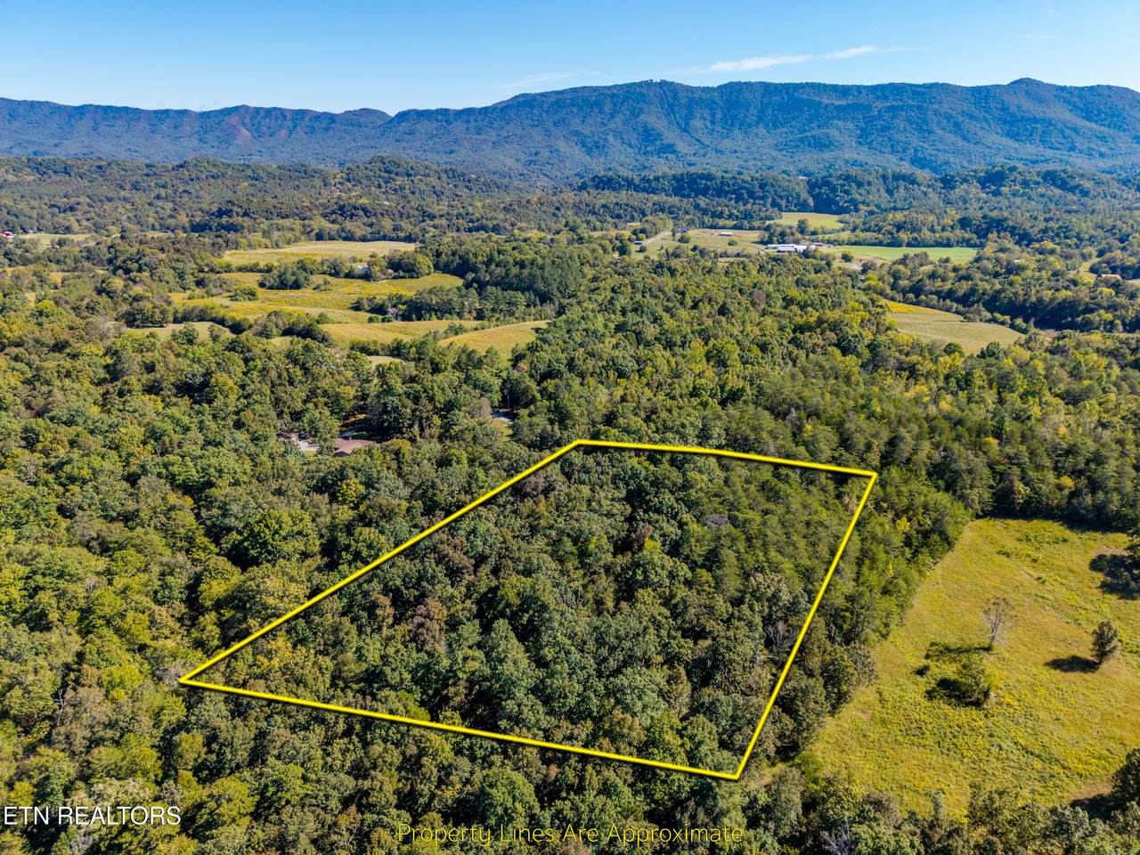 1903 Tree Tops Lane - Photo 1