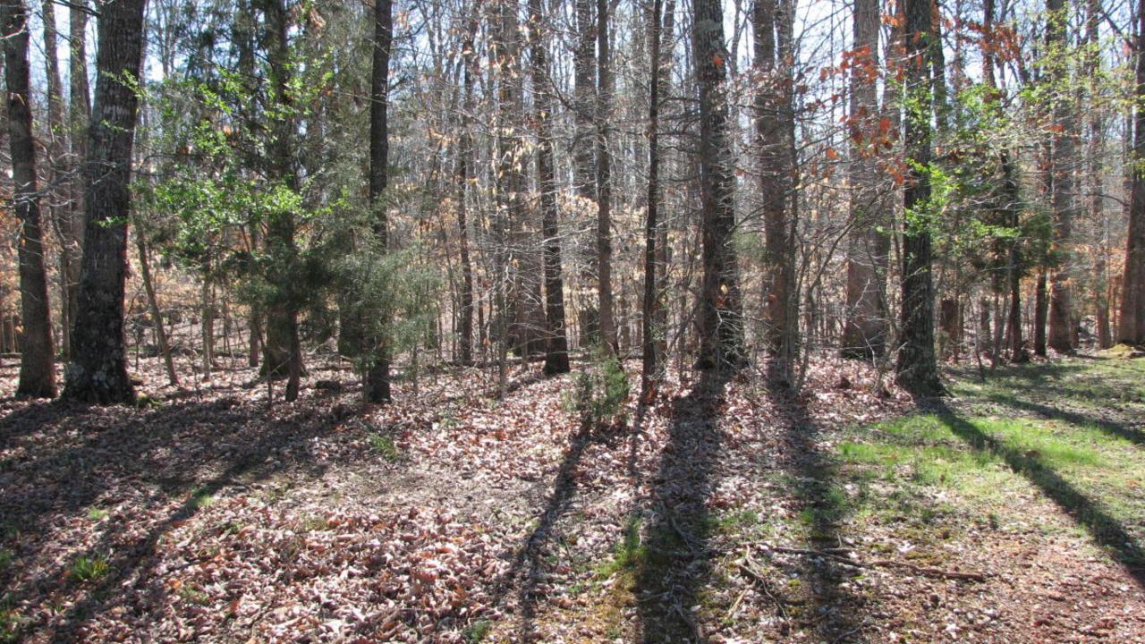 Golanvyi Trail Lot 11 - Photo 1