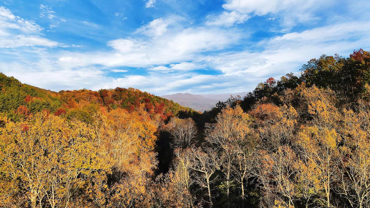 Tract 30r1 Chilhowee Mountain Tr - Photo 1