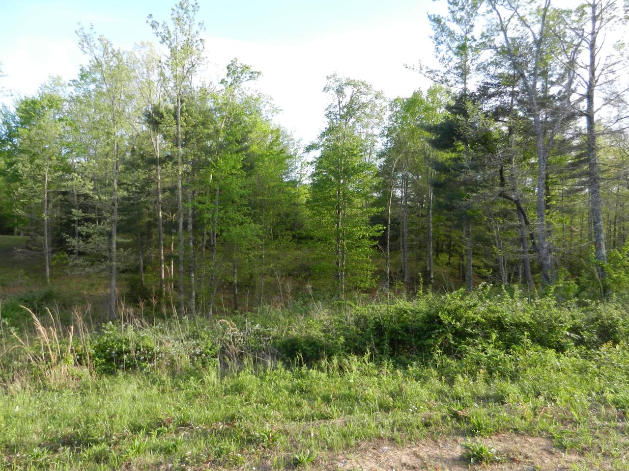 Lot 43 Logan Lane - Photo 1 Lot 43 Logan Lane - Photo 1