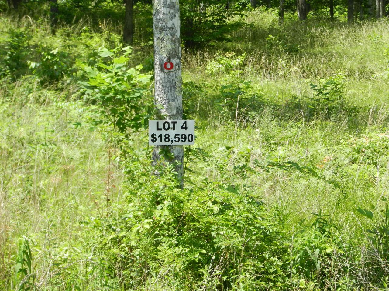 Lot 4 Toomey Falls Rd - Photo 1 Lot 4 Toomey Falls Rd - Photo 1