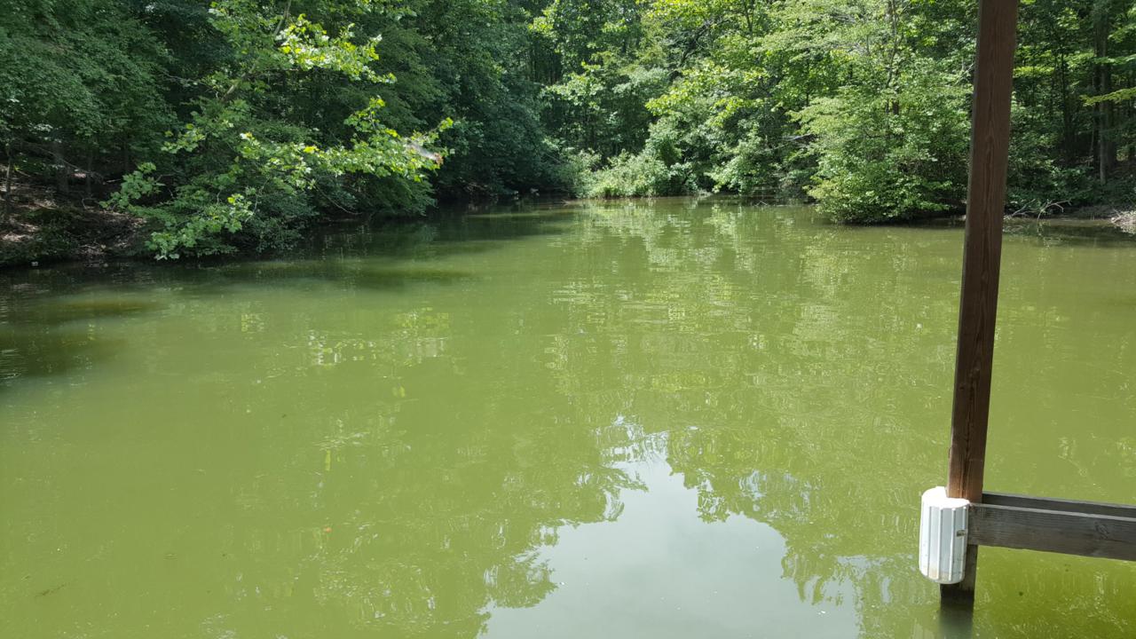 Lot 108 Treasure Tree Rd - Photo 1