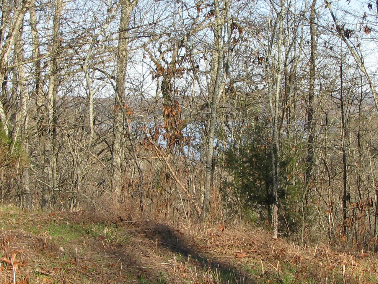 124 Crystal Springs Rd - Photo 1