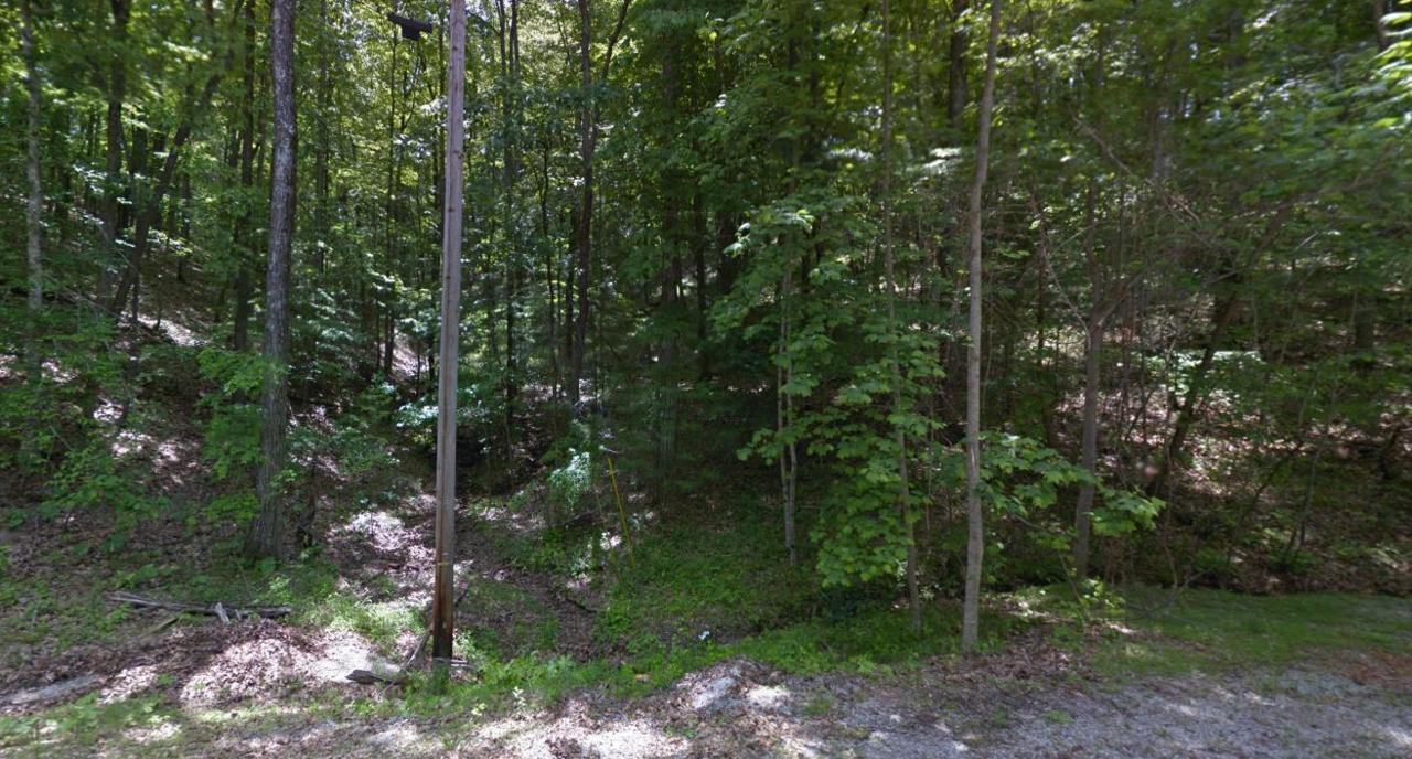 152 Pineridge Loop - Photo 1