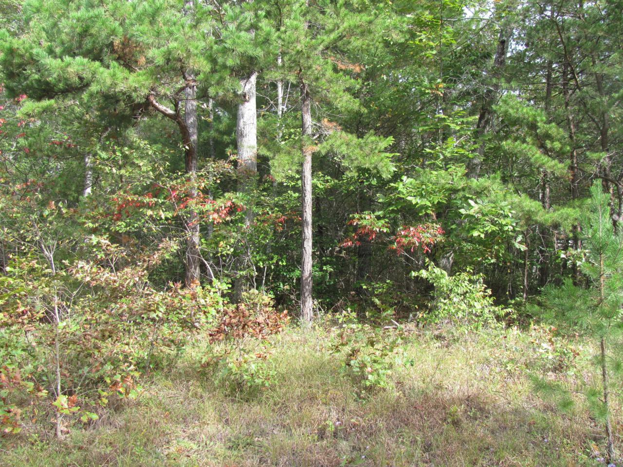 103 Thornhill Lane - Photo 1