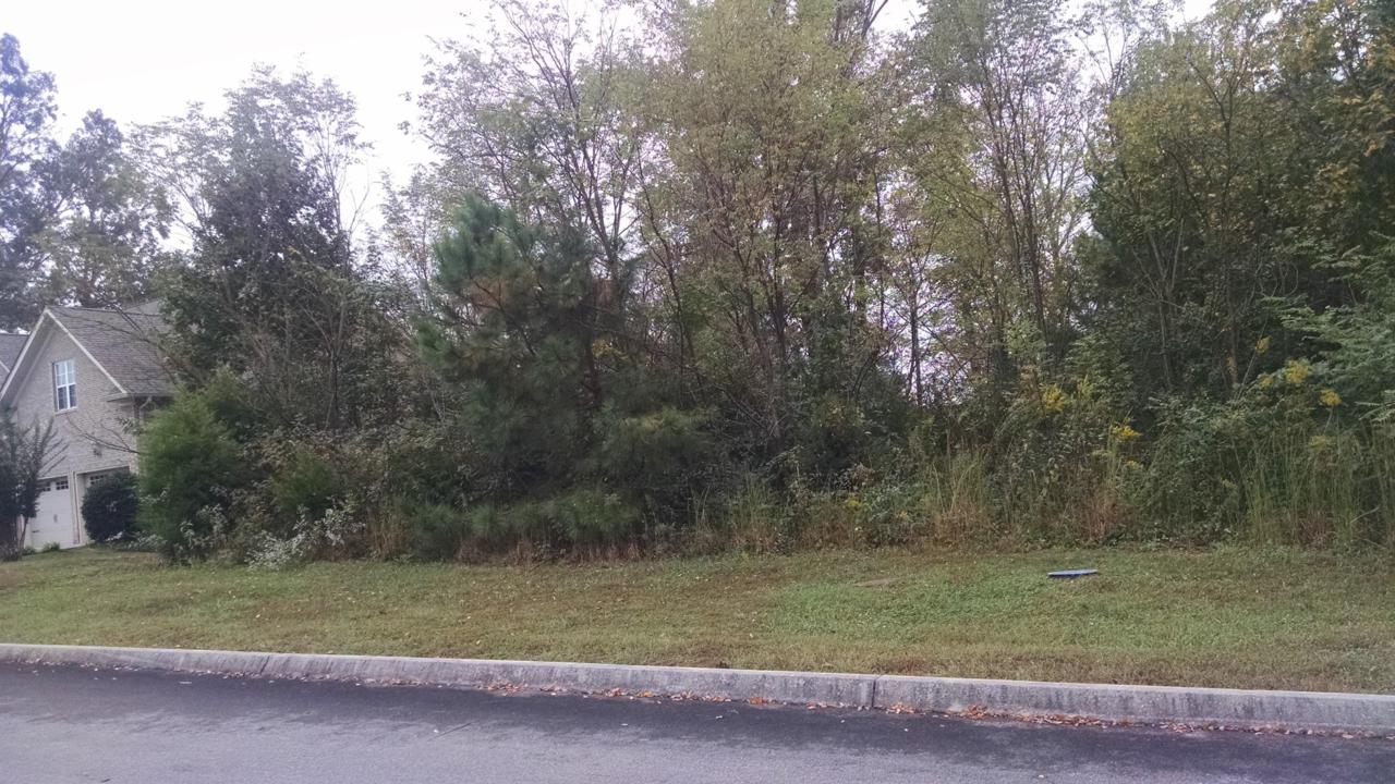 1370 Britts Drive - Photo 1