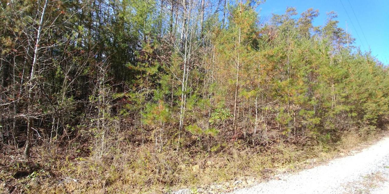 Blackberry Mountain Way - Photo 1