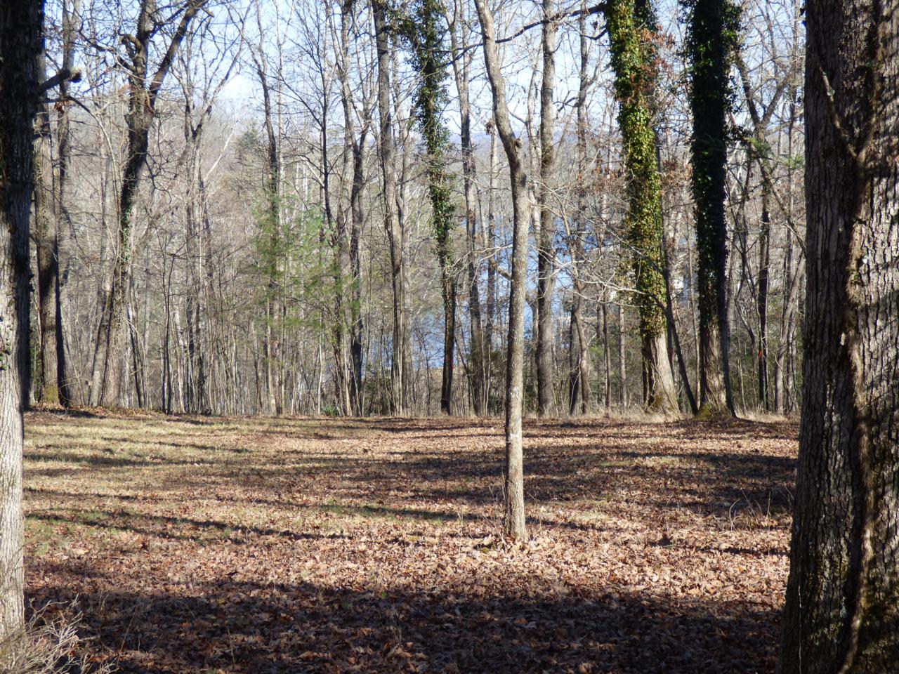 18 Hunterwood Court - Photo 1