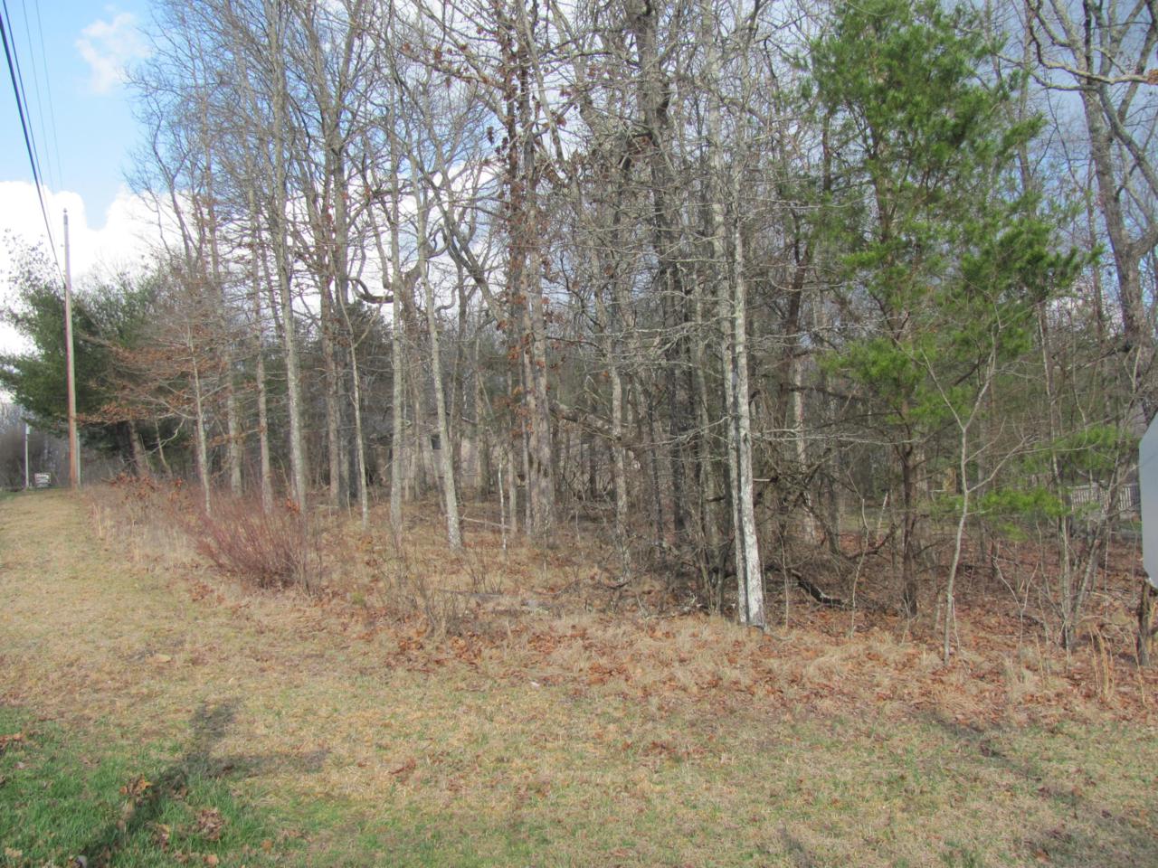155 Snead Drive - Photo 1