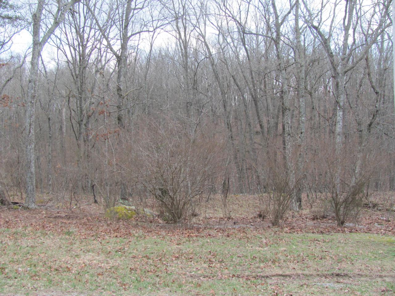 554 Snead Drive - Photo 1