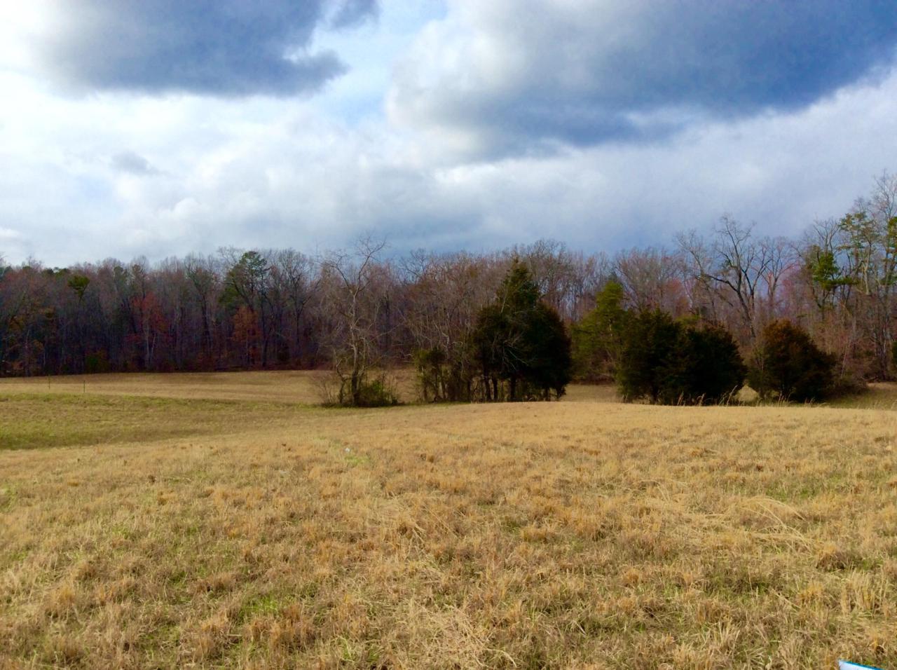 Lot 2 Star Gazing Lane - Photo 1