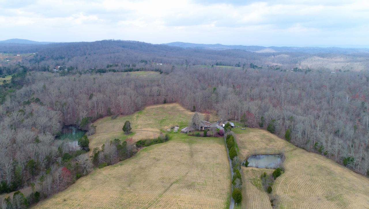 723 Paint Rock Rd - Photo 1