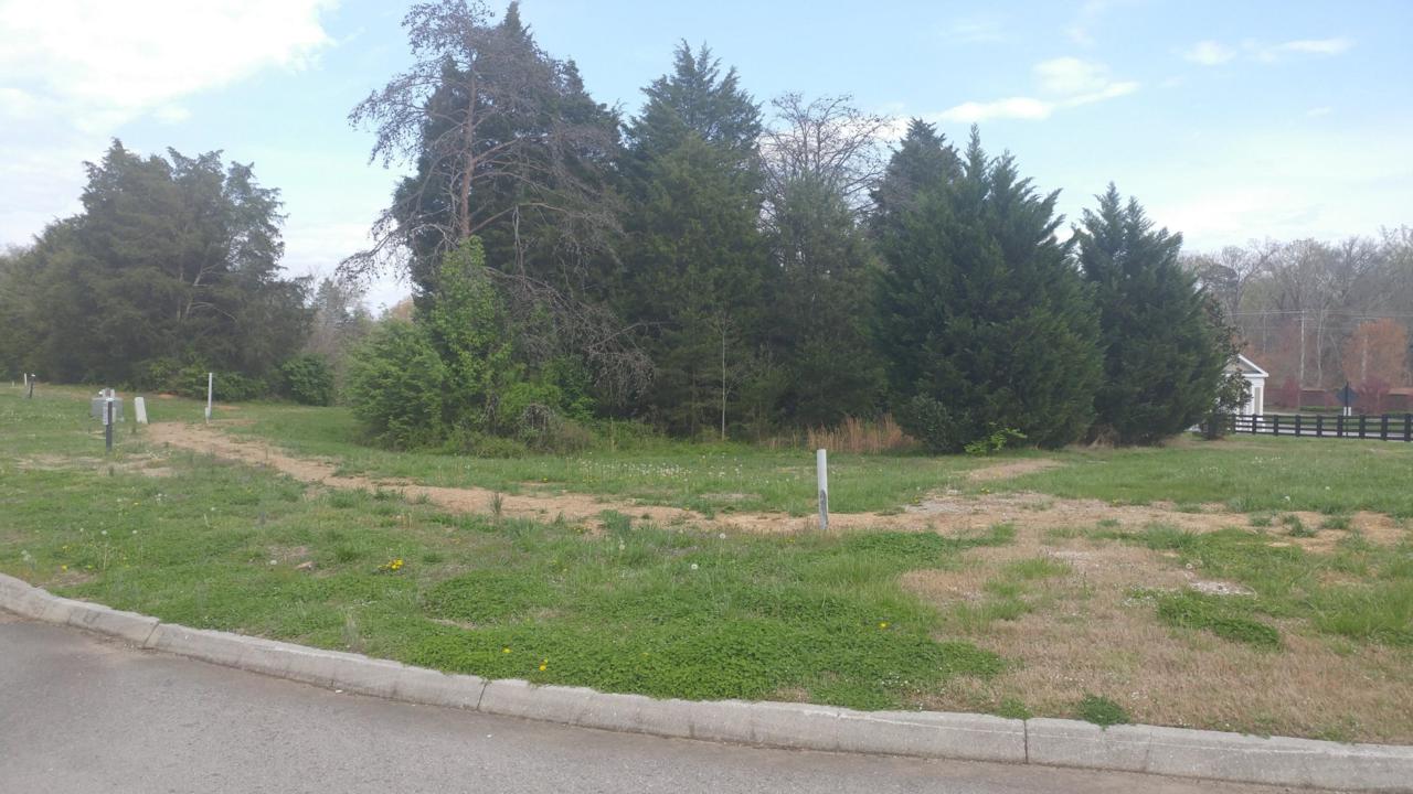 Fredericksburg Blvd - Photo 1