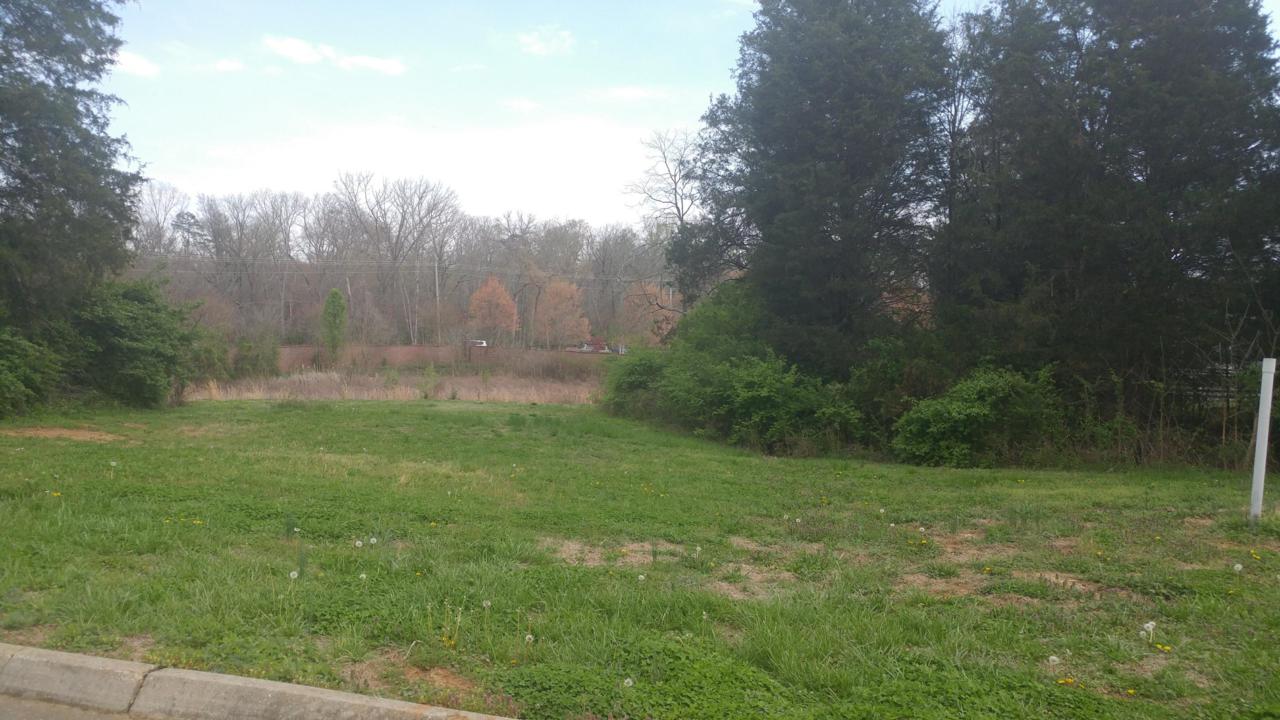 12178 Fredericksburg Blvd - Photo 1