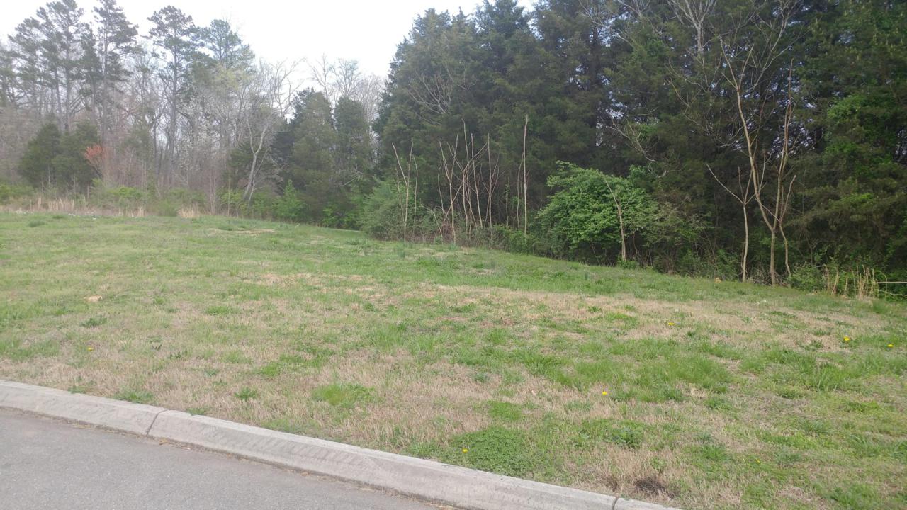 12166 Fredericksburg Blvd - Photo 1