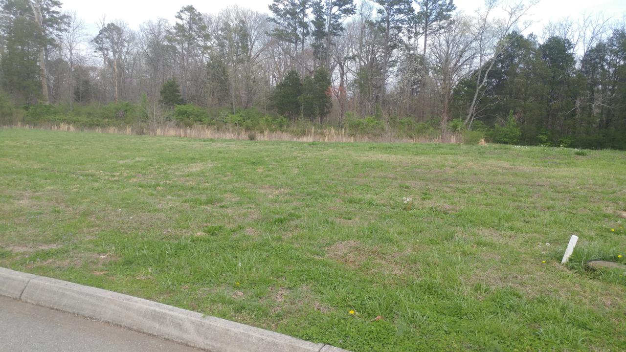 12160 Fredericksburg Blvd - Photo 1