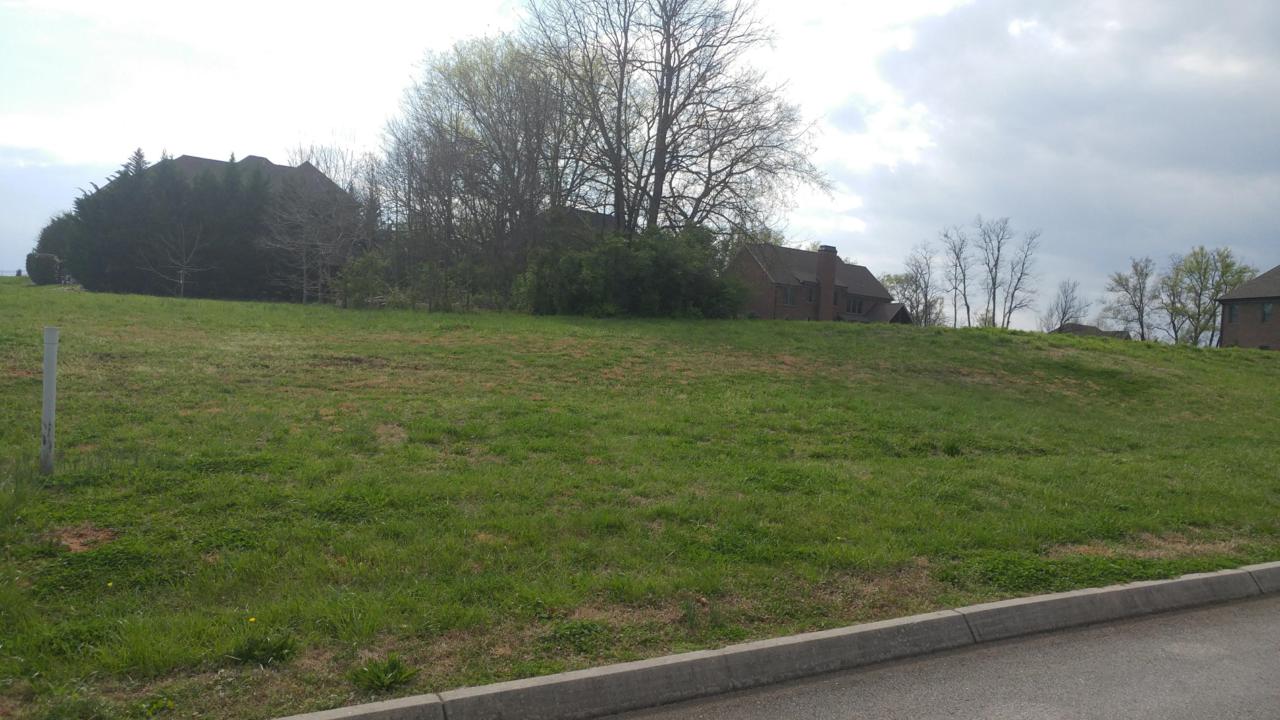 12123 Fredericksburg Blvd - Photo 1