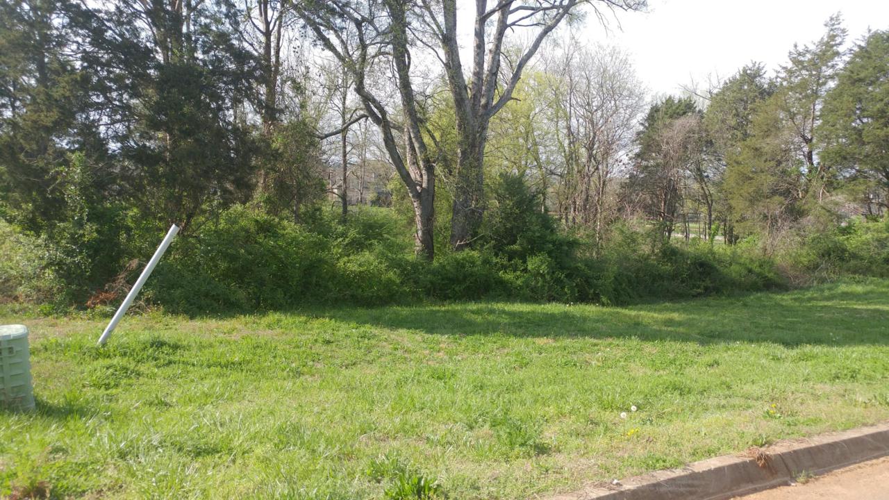 12119 Rushmere Lane - Photo 1