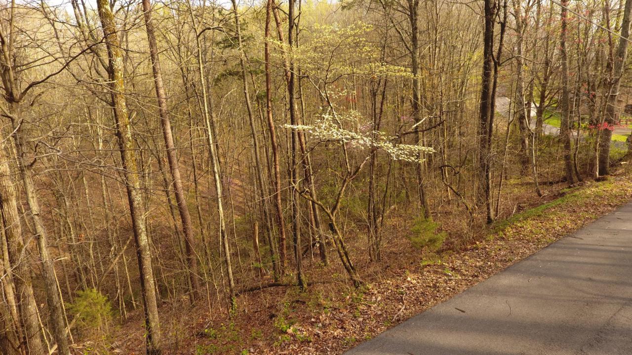 Smoky Mountain View Drive - Photo 1
