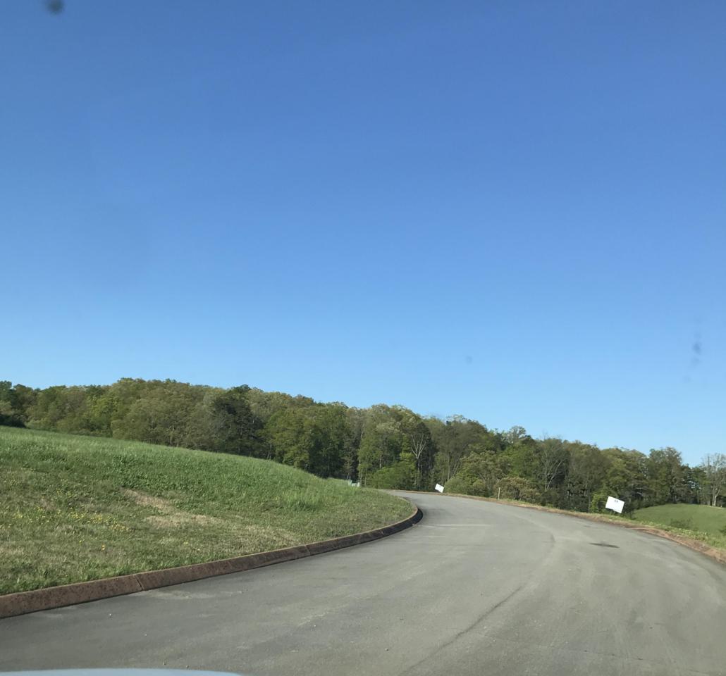 Lot 88 Shiloh Springs - Photo 1
