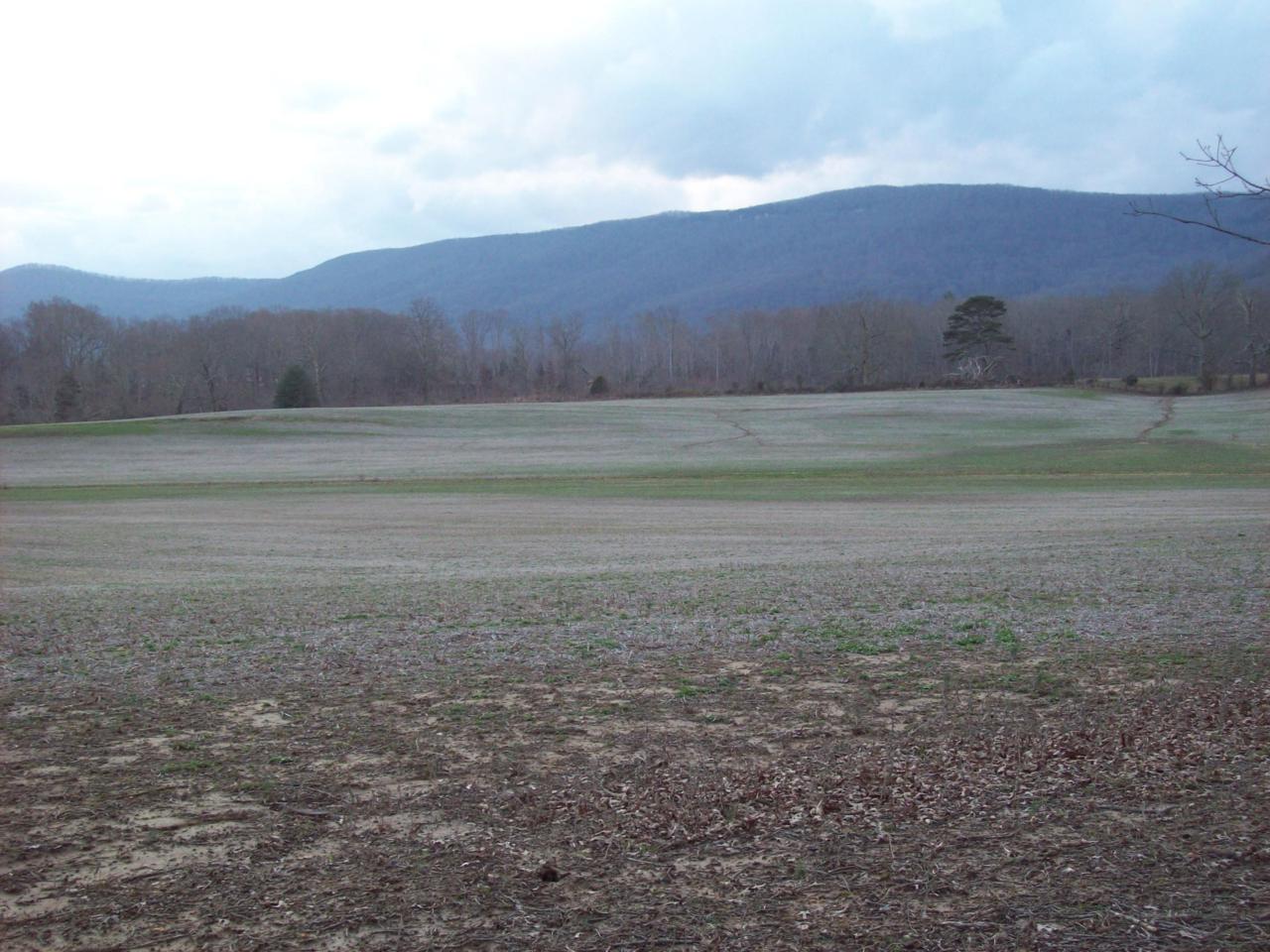 29 Brady Lane - Photo 1