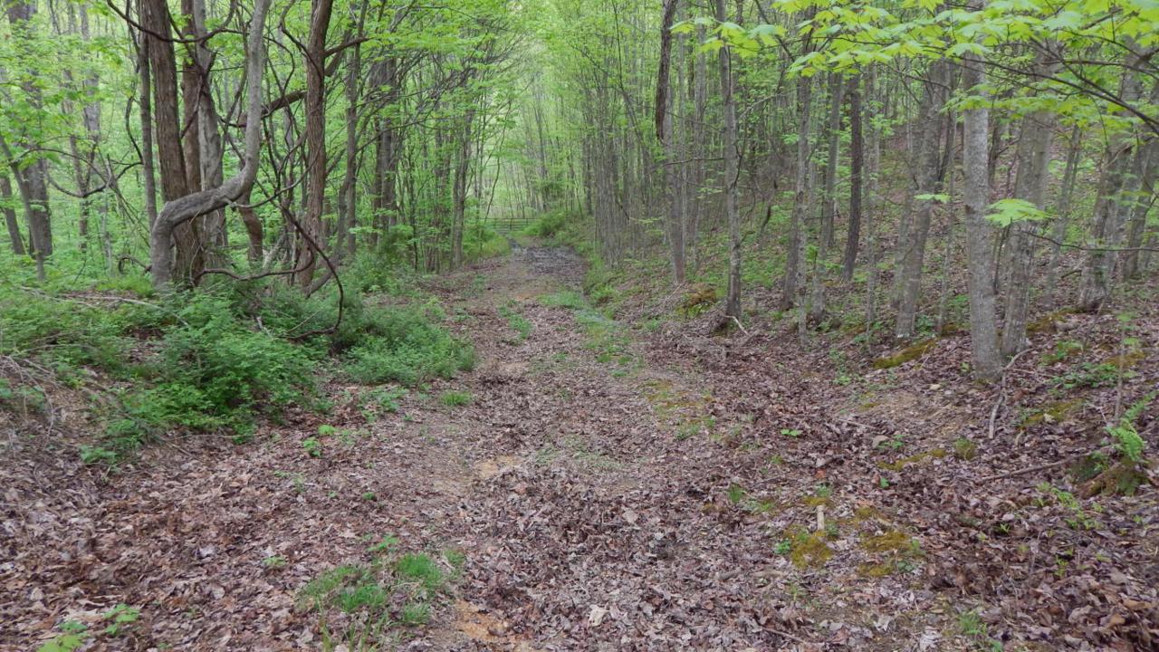 Sassafras Lane - Photo 1
