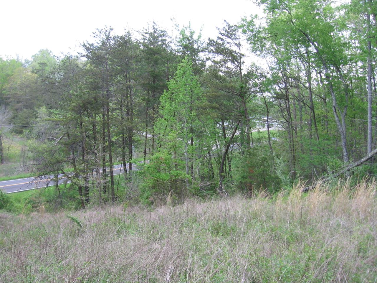 1380 Old Deer Lodge Pike - Photo 1