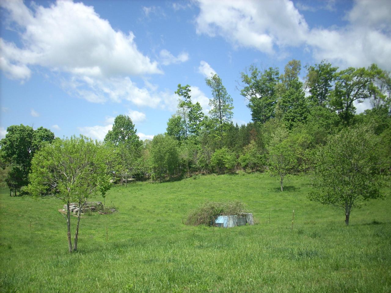 Walker Court - Photo 1