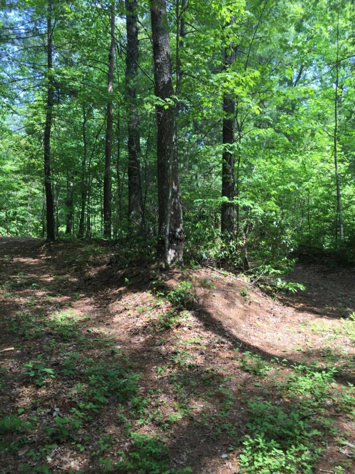 Holder Cemetery Rd. - Photo 1