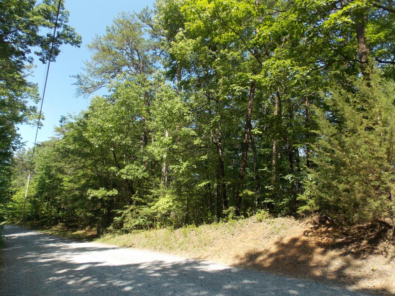 Lot 9 Deer Run Drive - Photo 1