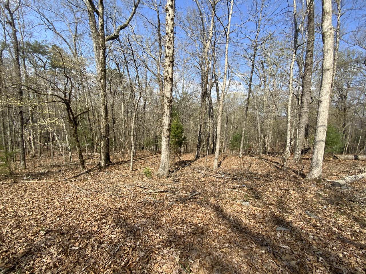 Rendezvous Road Lot #22 - Photo 1