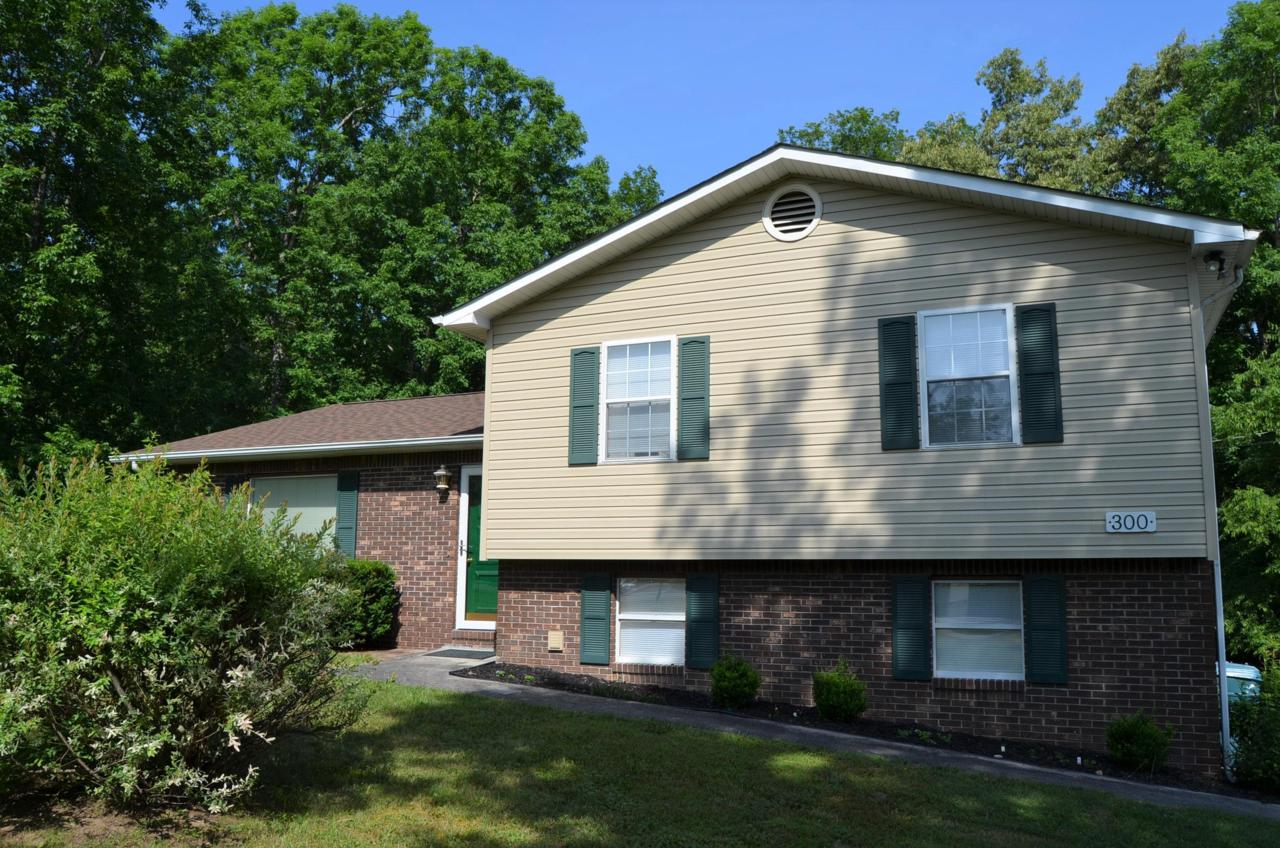 300 Mockingbird Drive - Photo 1