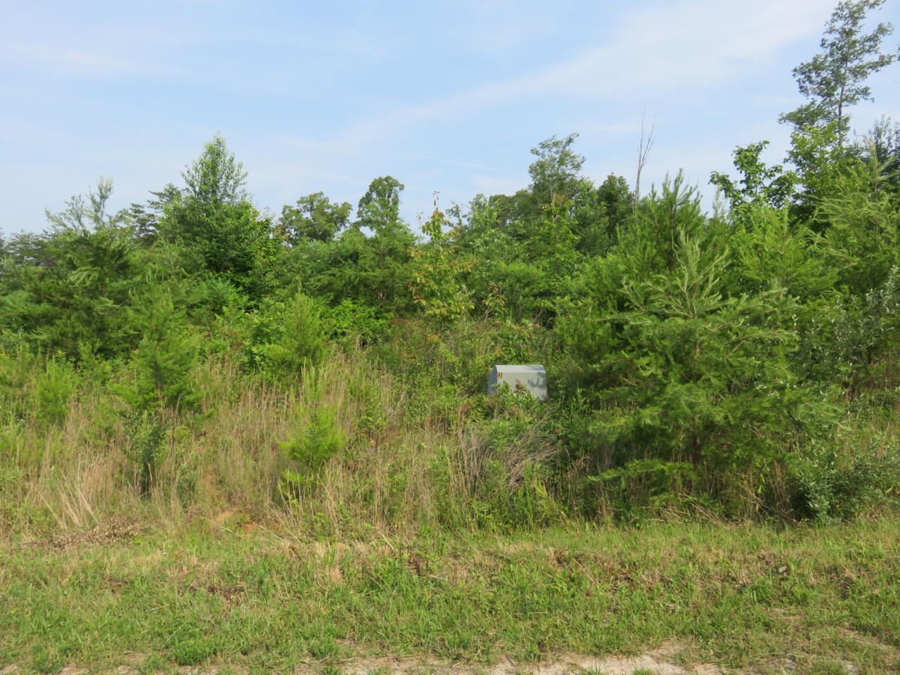 Jones Rd - Photo 1