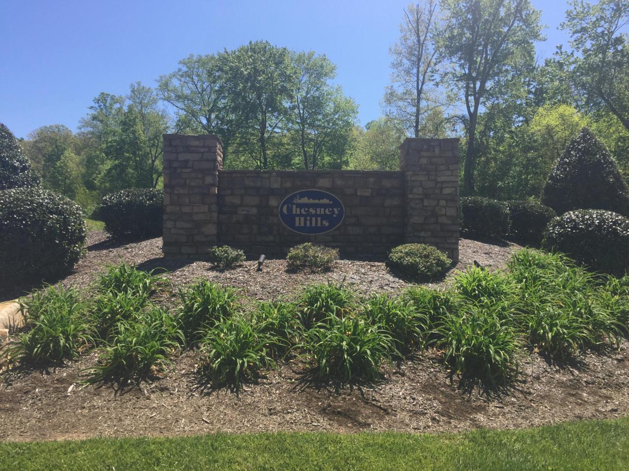 9836 Chesney Hills Lane - Photo 1