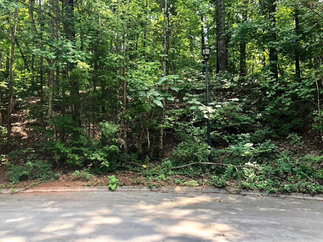 Sandstone Drive - Photo 1