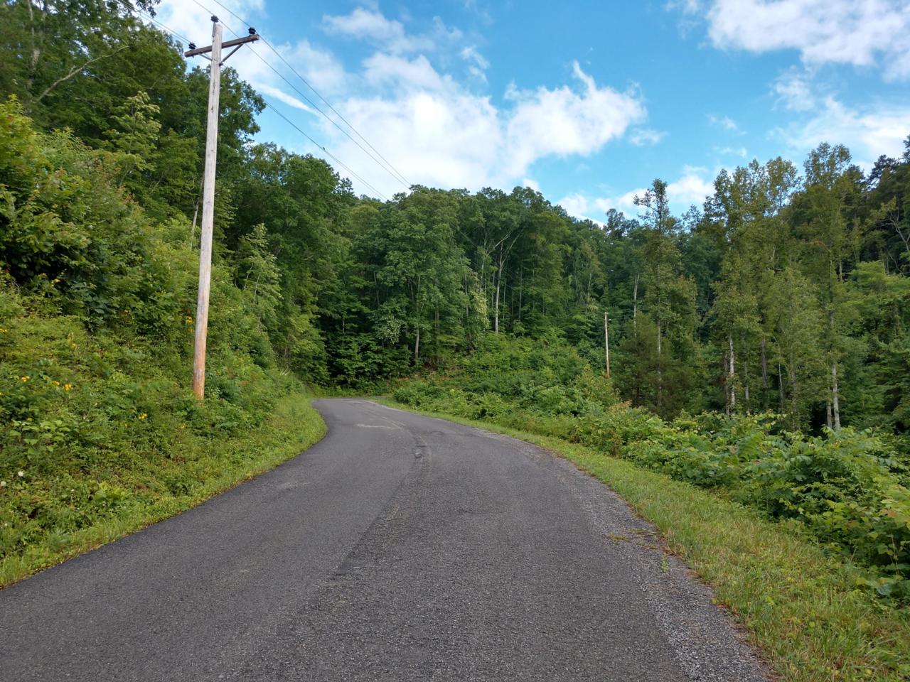 Big Sink Rd - Photo 1