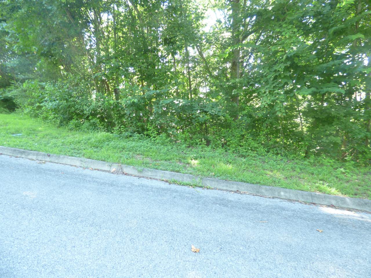 Lakeview Dr, Lot 1 - Photo 1