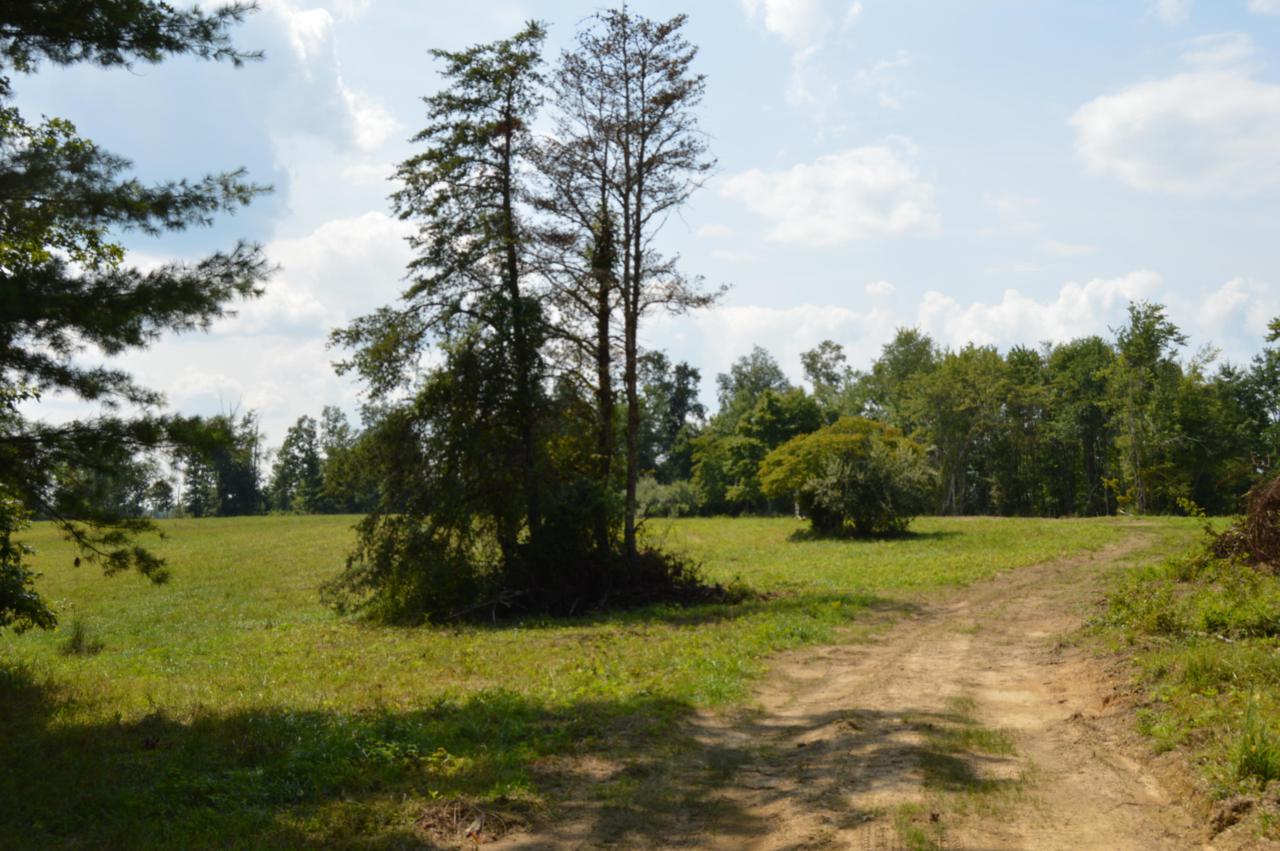 Twin Bridge Rd - Photo 1