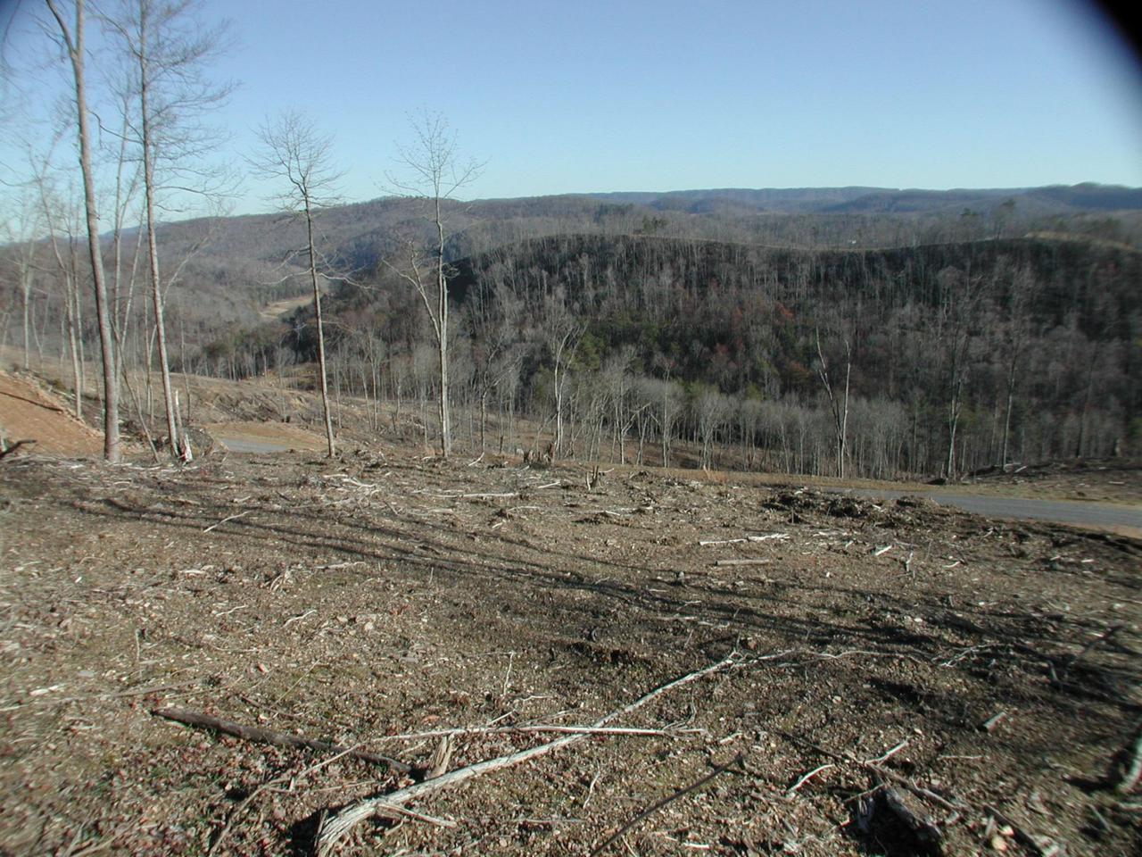 Lot 592 Whistle Valley Rd - Photo 1