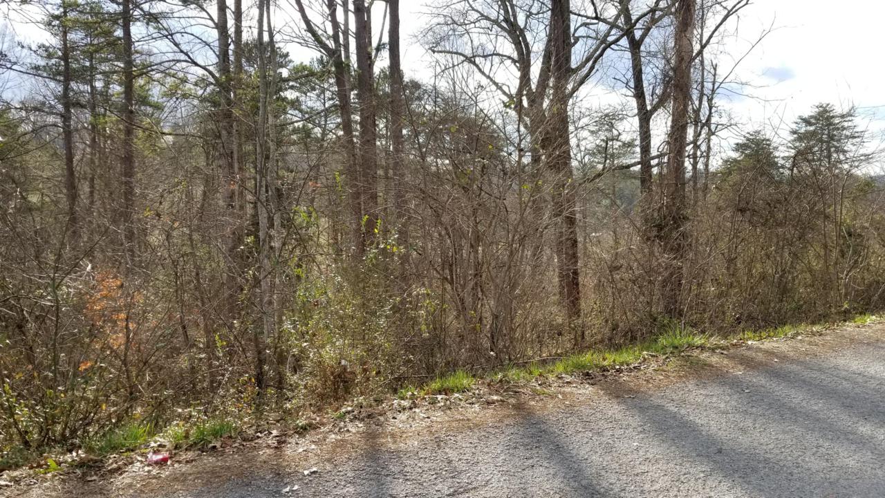 Lot 7 Dillon Drive - Photo 1