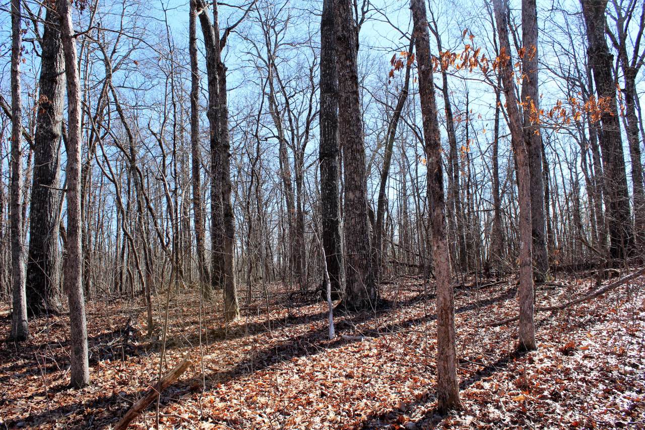 191 Albemarle Lane - Photo 1
