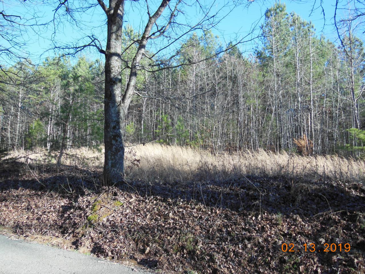 5.39 Ac Ridge Road - Photo 1