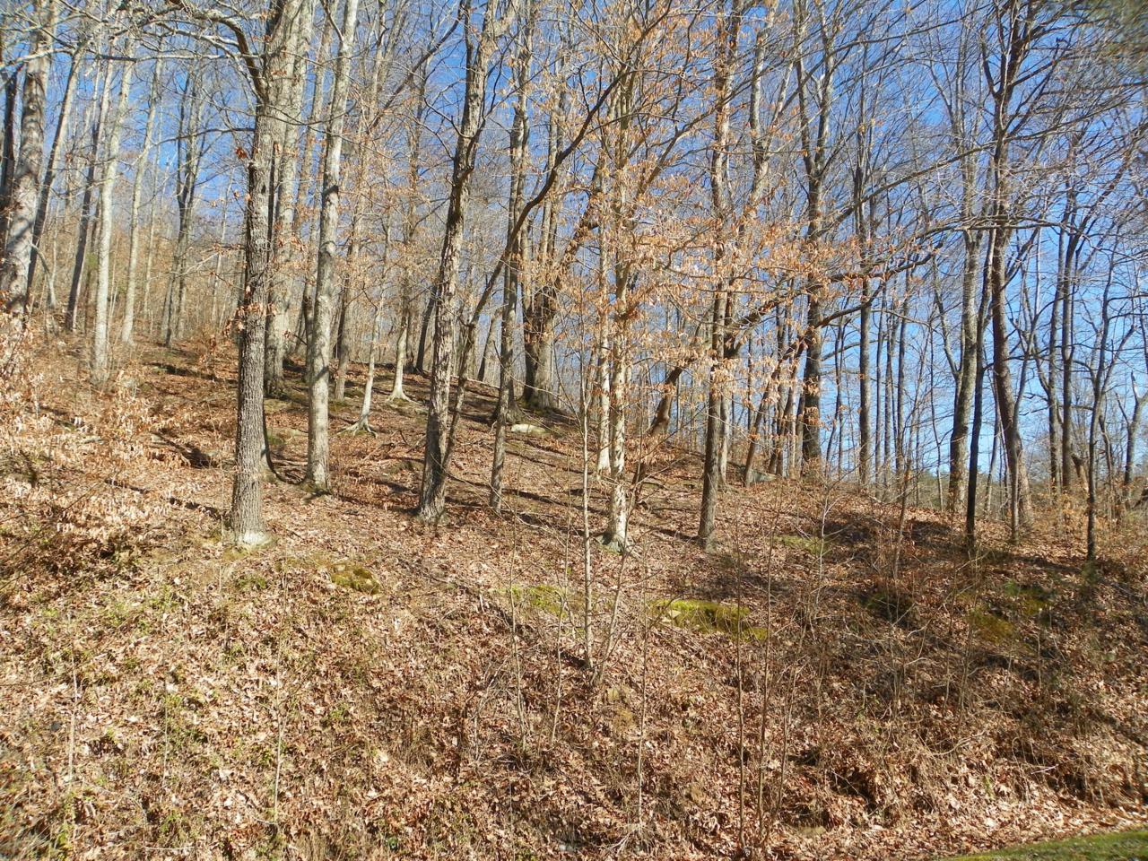 Ashley Lane - Photo 1