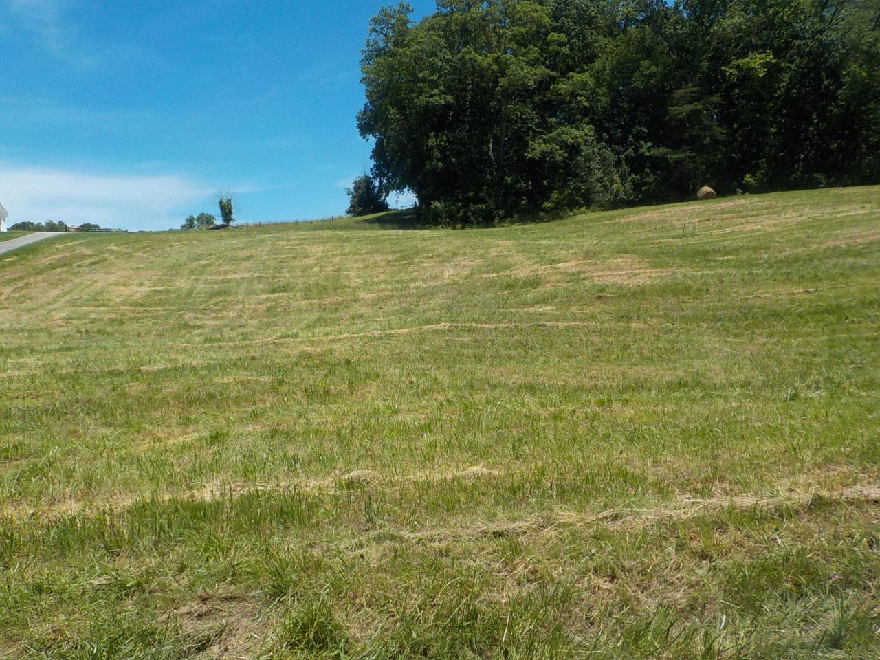 Lot 5 Brown Road - Photo 1