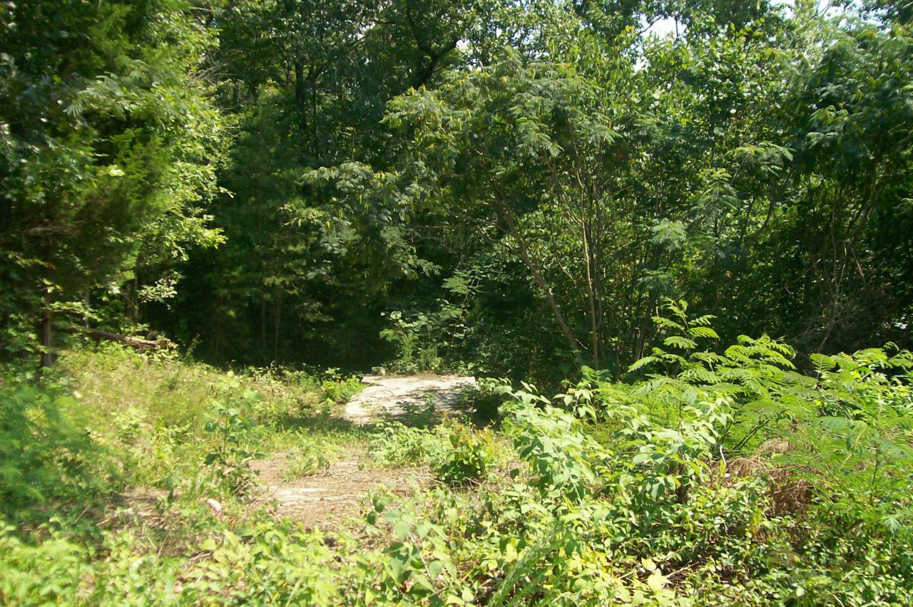 438 Ridgeview Circle - Photo 1