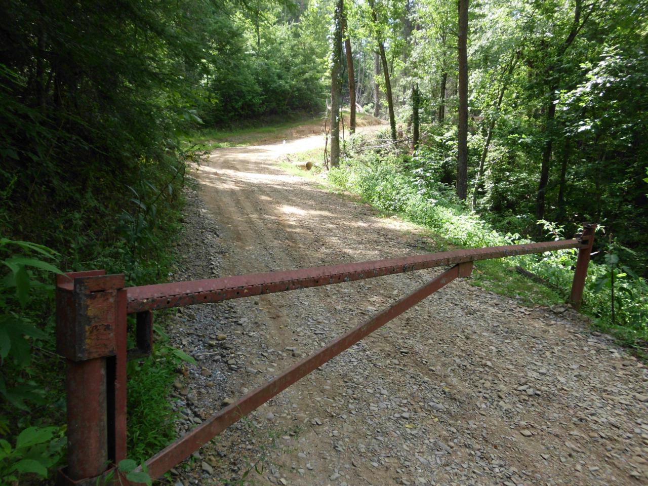 Tellico Reliance Rd - Photo 1