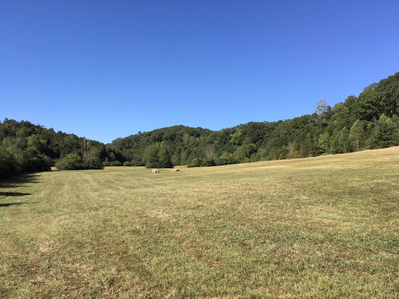 1527 Tarklin Valley Rd - Photo 1 1527 Tarklin Valley Rd - Photo 1